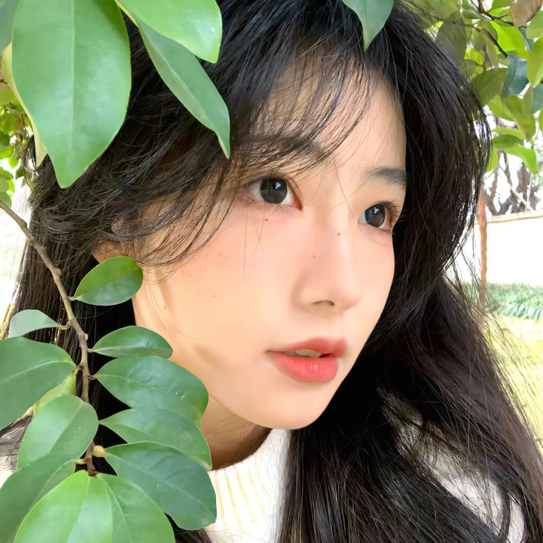 观鸟者指导大全